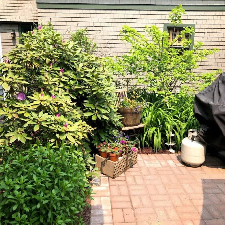 Gas grill on the patio