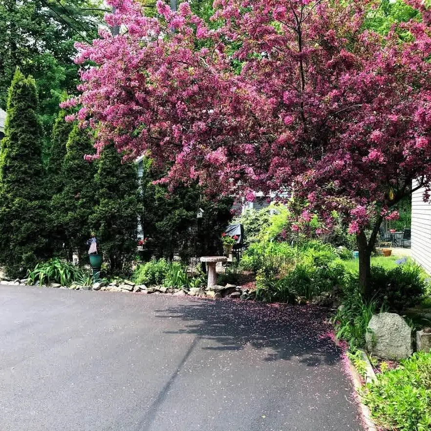 Parking for 2 guests cars