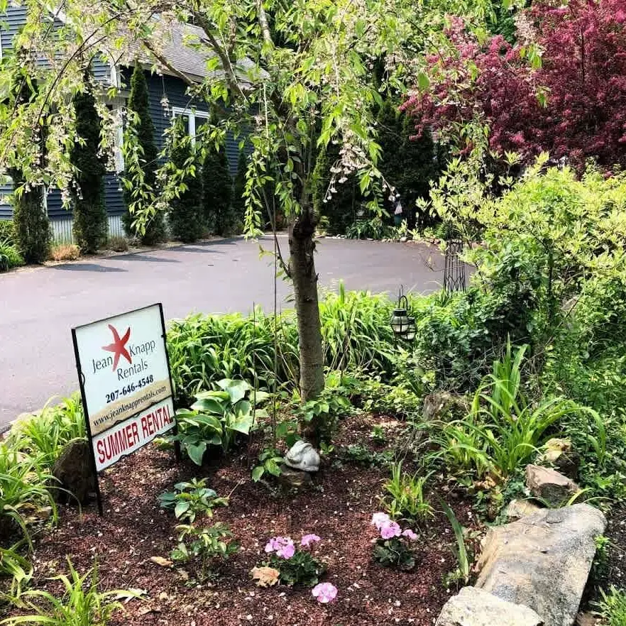 Turn right at the Jean Knapp Rentals sign. Privacy hedge - natural fence