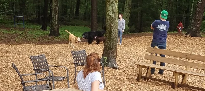 Ogunquit Dog Park