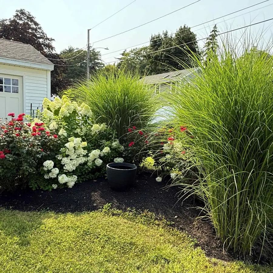 Jean Knapp Rentals-Diane’s Garden Room-image-17