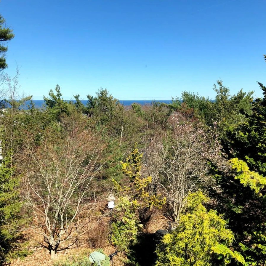 Jean Knapp Rentals-The Tree Top Apartment: Spacious 2 Bedroom Apt -image-25