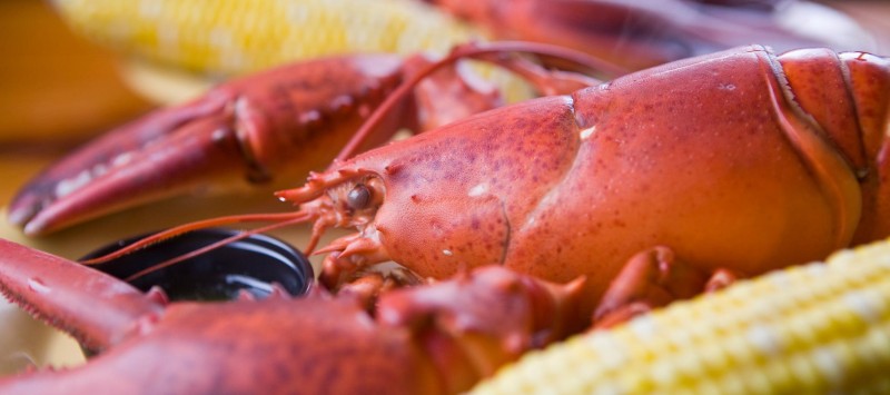 The Lobster Shack