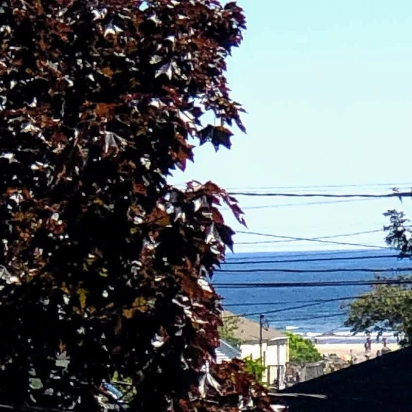 View  - seasonal from deck