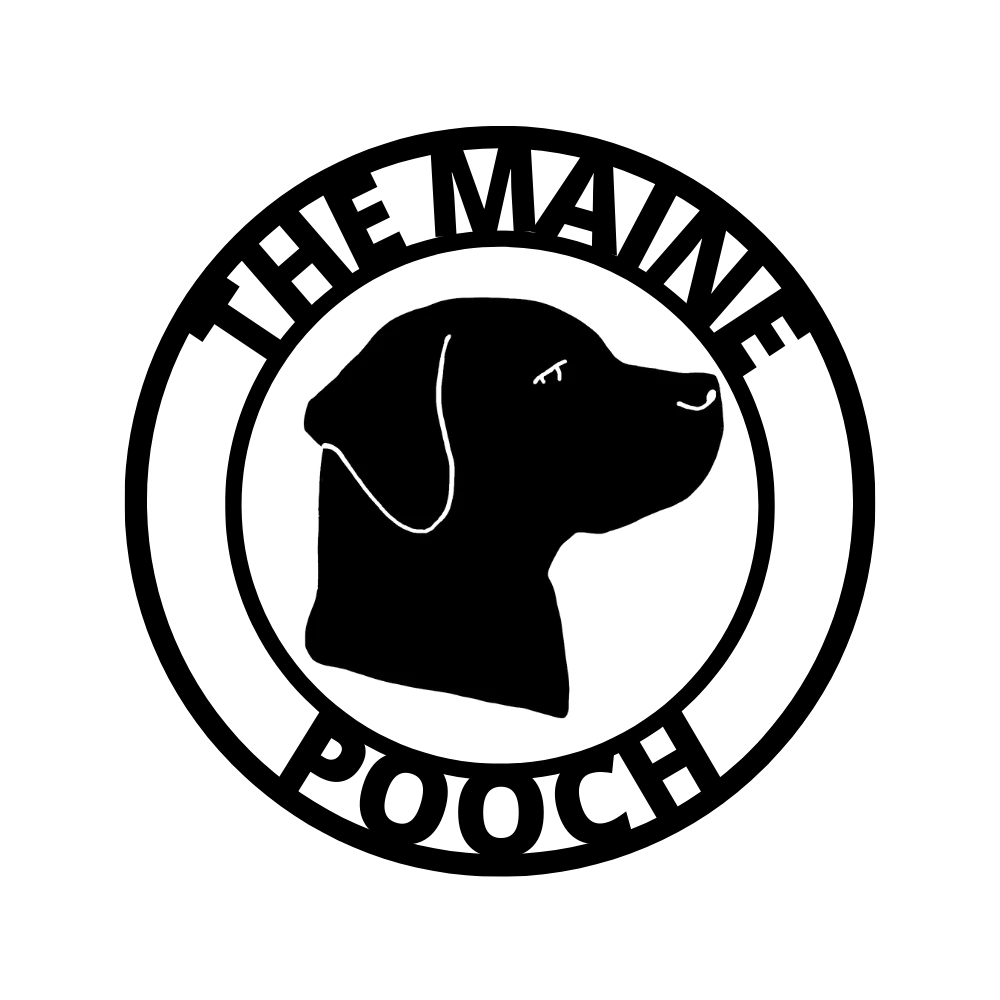 The Maine Pooch