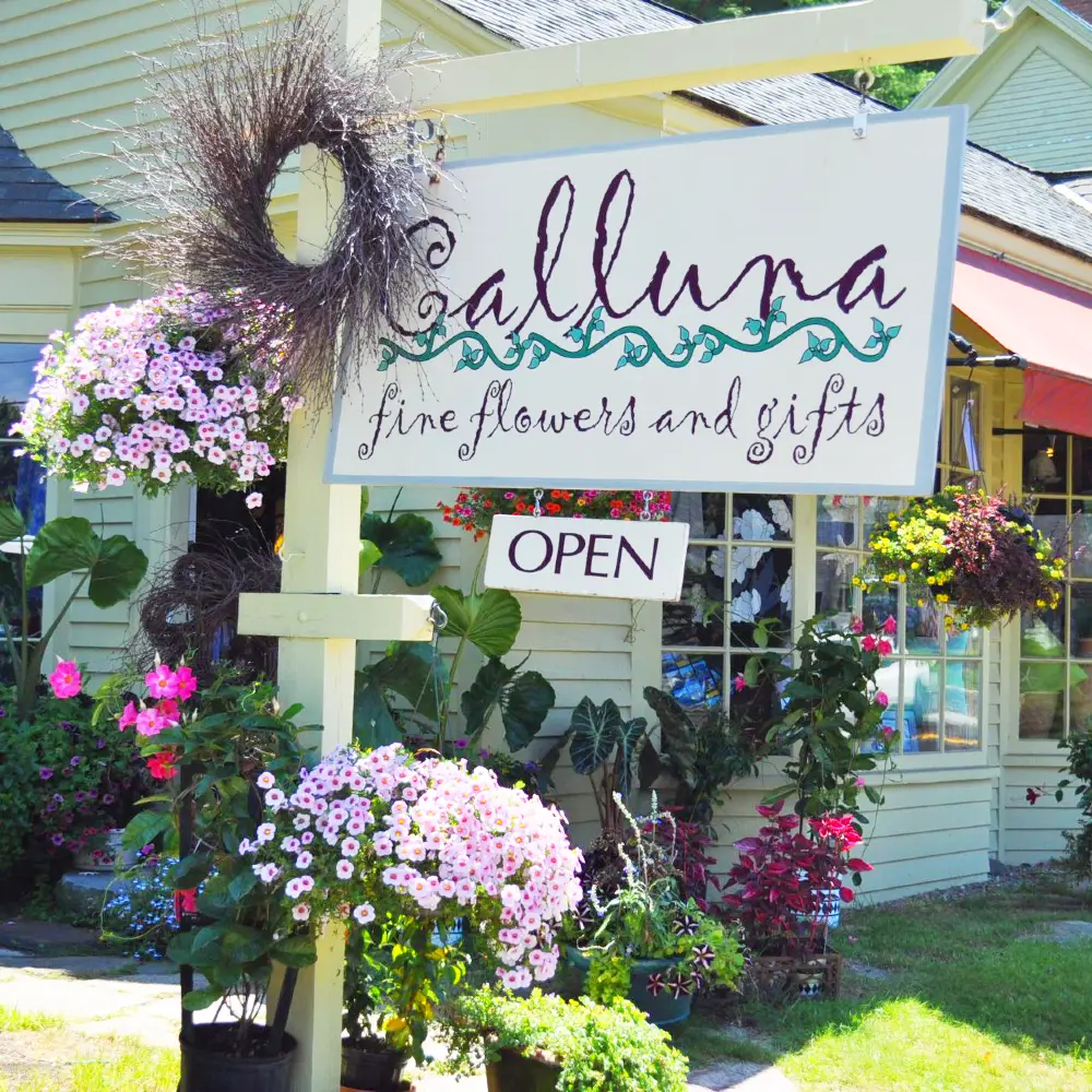 Calluna Fine Flowers and Gifts