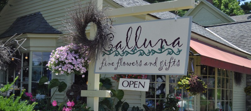 Calluna Fine Flowers