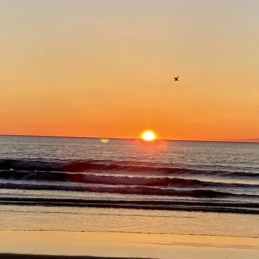 Jean Knapp Rentals-12 Thither-Ogunquit Waterfront! -image-35