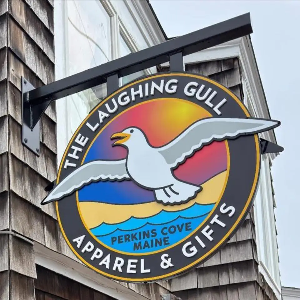 The Laughing Gull